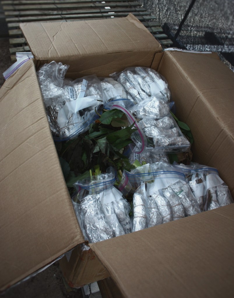 Taiwan plants after shipment